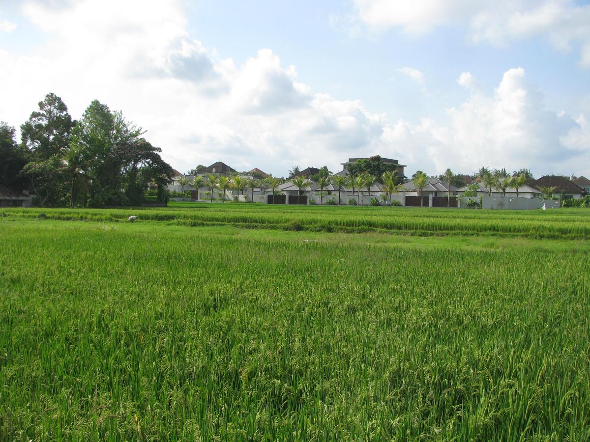 Pondok Mesari House Ubud Zewnętrze zdjęcie