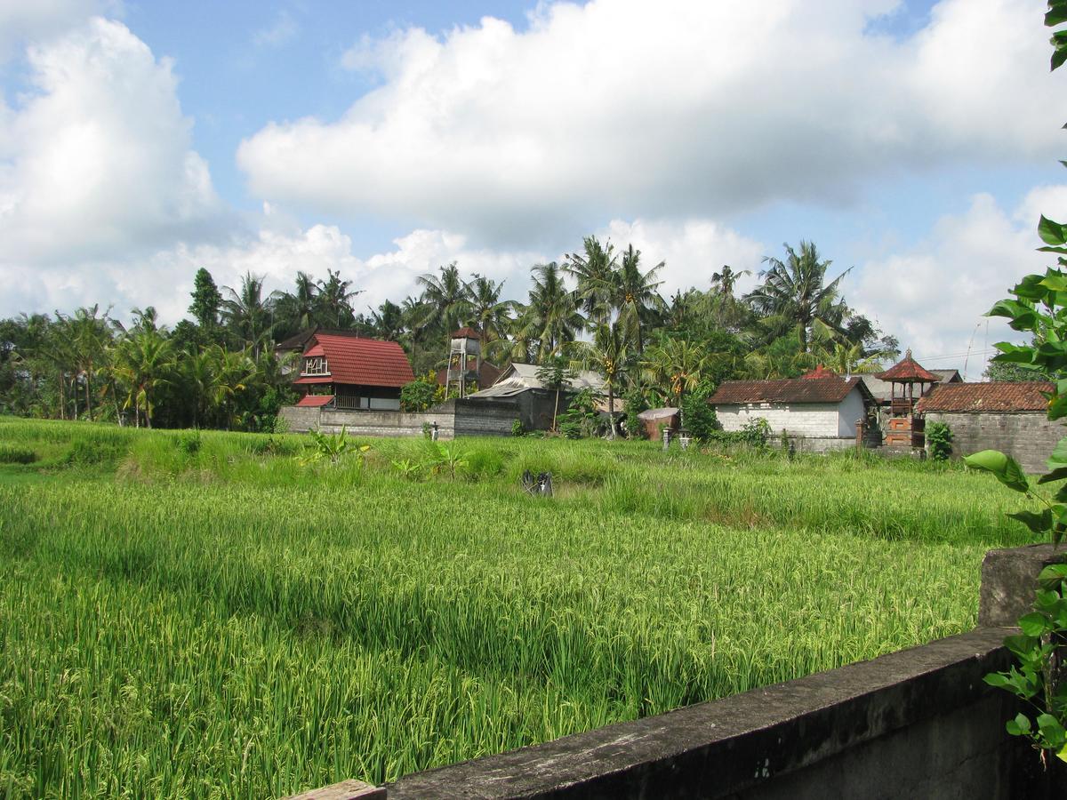 Pondok Mesari House Ubud Zewnętrze zdjęcie